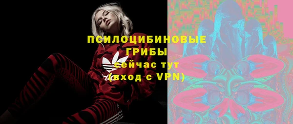 мескалин Медвежьегорск