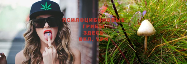мескалин Медвежьегорск