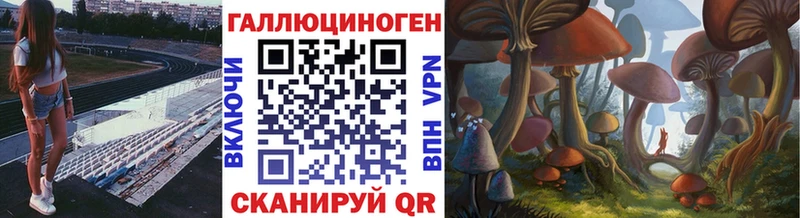Галлюциногенные грибы Psilocybe  Купить закладки  Нерюнгри 
